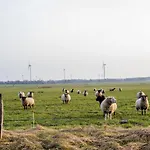 Hof Friesenruhe Hogel